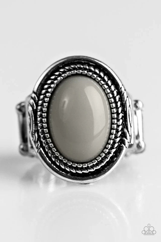 Paparazzi Ring ~ HUE Do You Think You Are? - Silver
