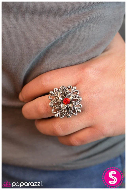 Paparazzi Ring ~ Never Been Better - Red