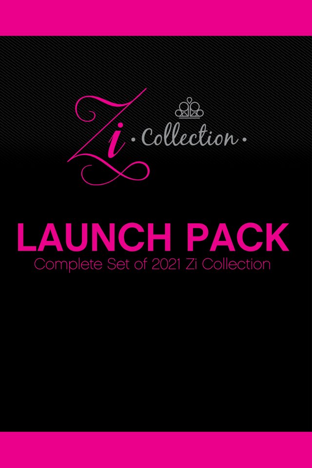Zi Collection Launch Pack - Paparazzi Zi Collection Image